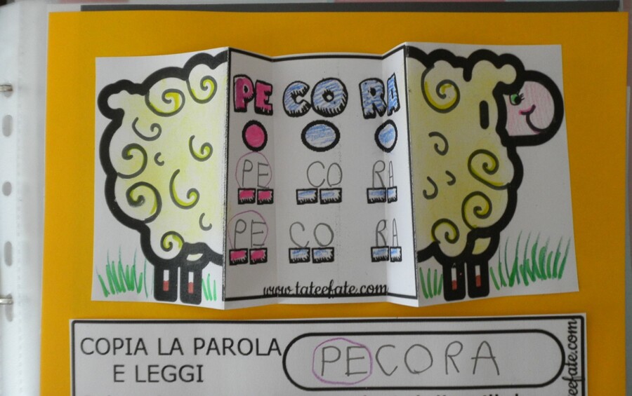 Lettera P creativa con Pecora e Pagliaccio