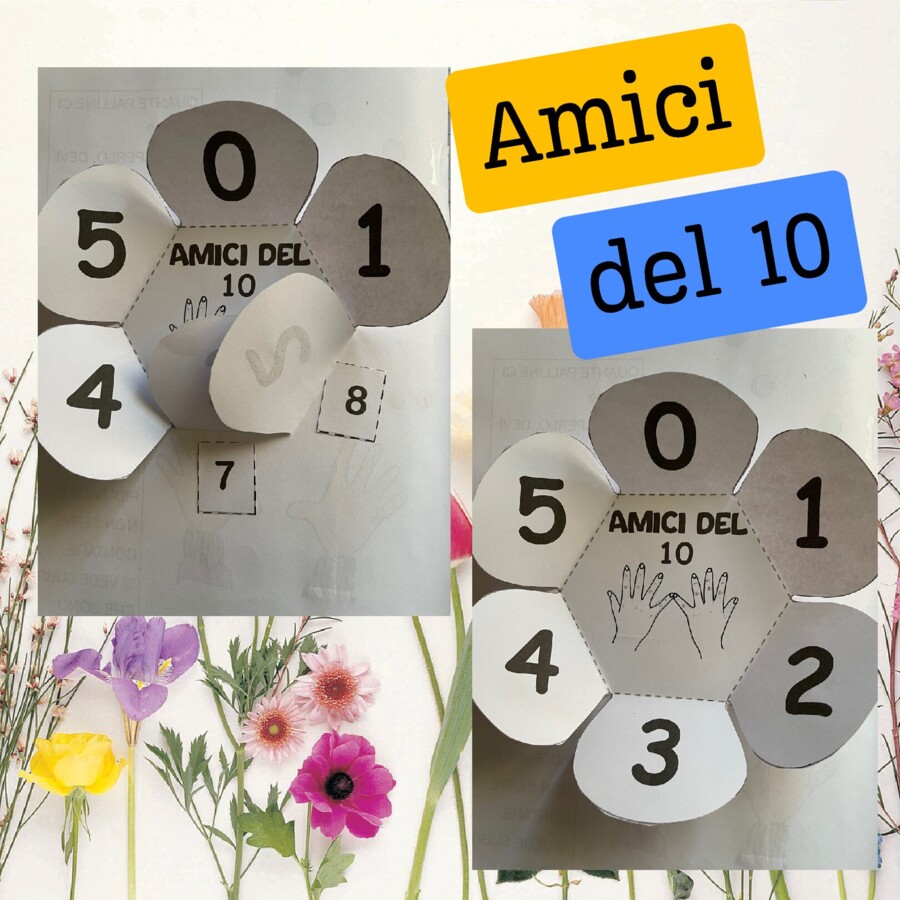 Fiore "Amici del 10" da costruire