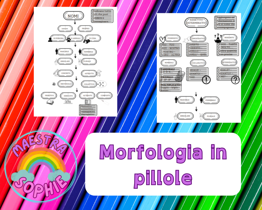 Morfologia in pillole - schemi per lo studio