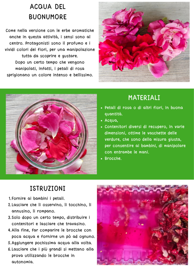 KIT ACCOGLIENZA INFANZIA "IL GIARDINO SEGRETO" percorso sensoriale per le prime tre settimane