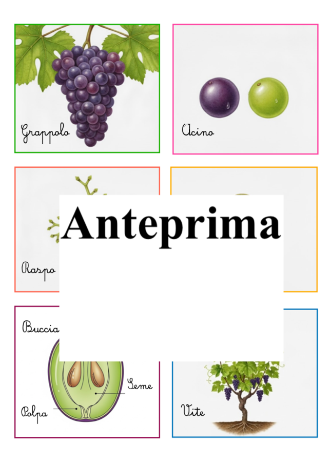 Dalla nomenclatura al vino-Un percorso di osservazione e scoperta scientifica sul ciclo della vite