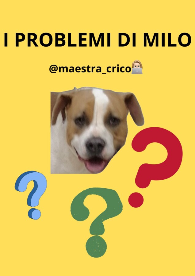 I PROBLEMI DI MILO