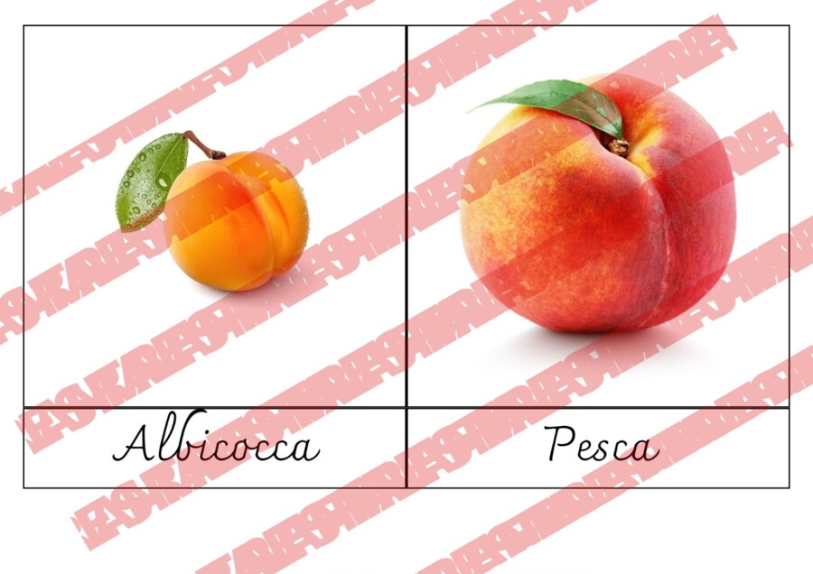 Nomenclature frutti e piante da frutto