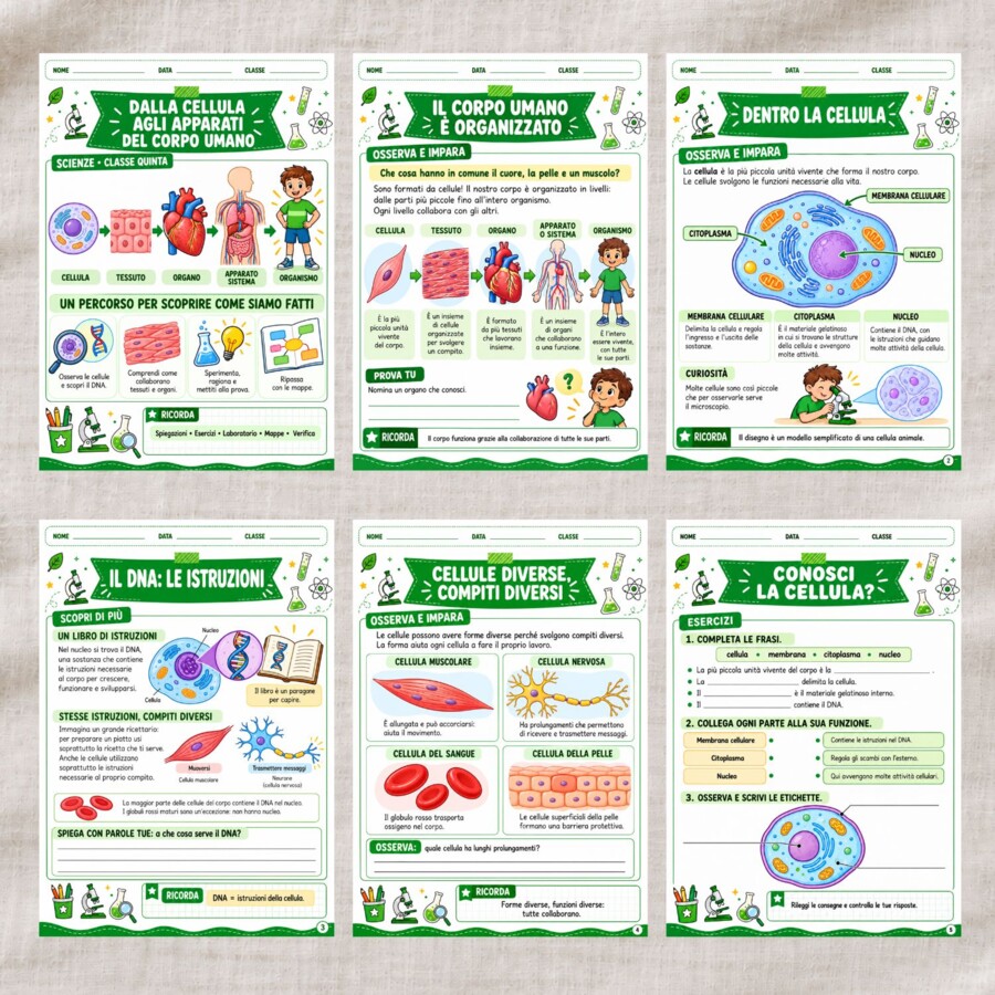 Dalla cellula agli apparati scuola primaria