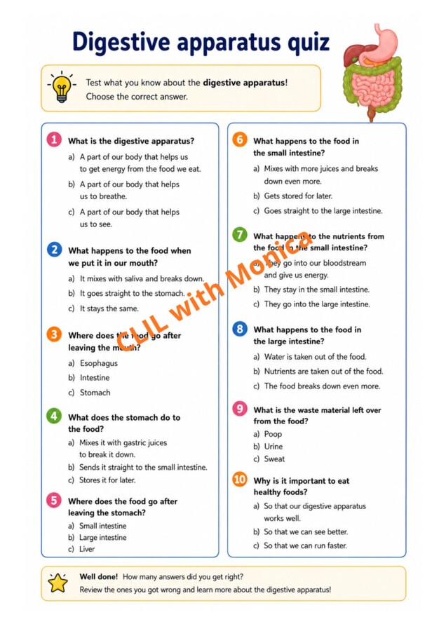 CLIL Science The Human Body classe 5^