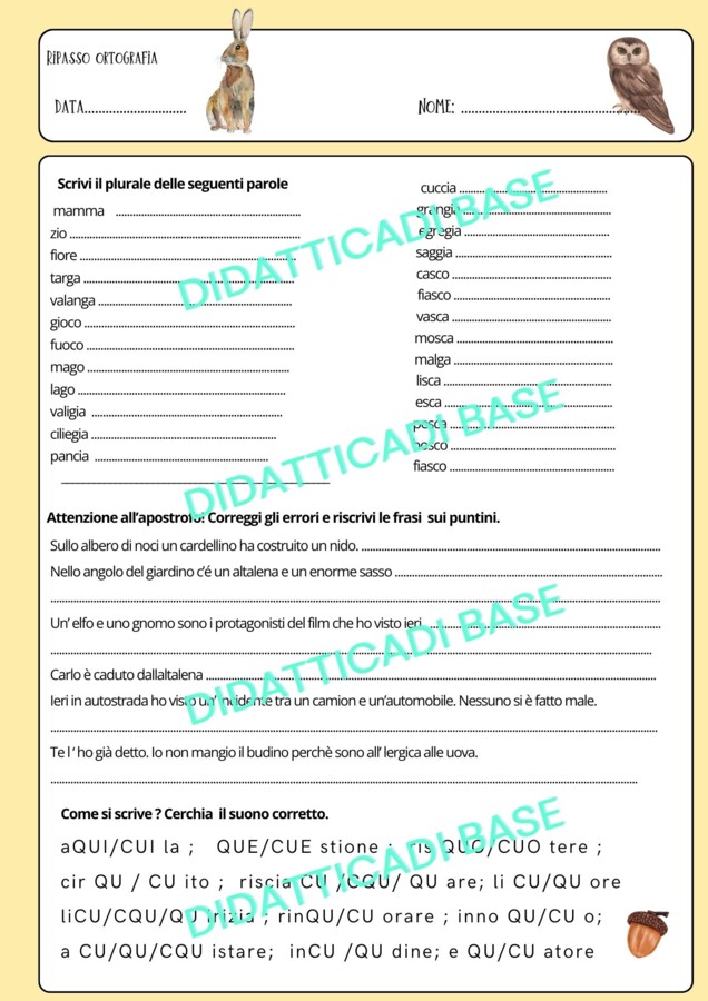 Ripasso/Verifica ortografia e grammatica