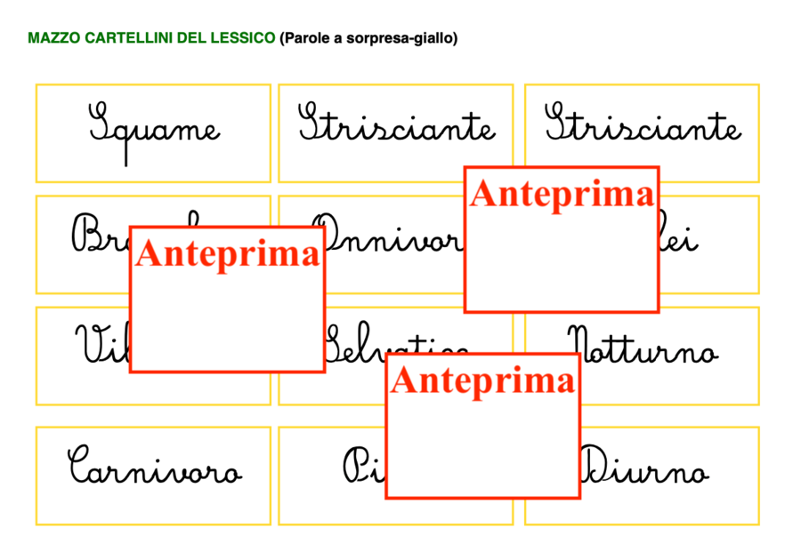 Descrivere un animale – Scrittura descrittiva scuola primaria- Percorso in 7 carte per l’autonomia nella scrittura