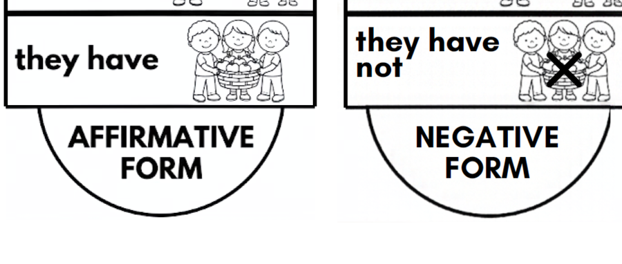 The Verb TO HAVE - Materiale Pop-Up e Lapbook Interattivo | Inglese Scuola Primaria