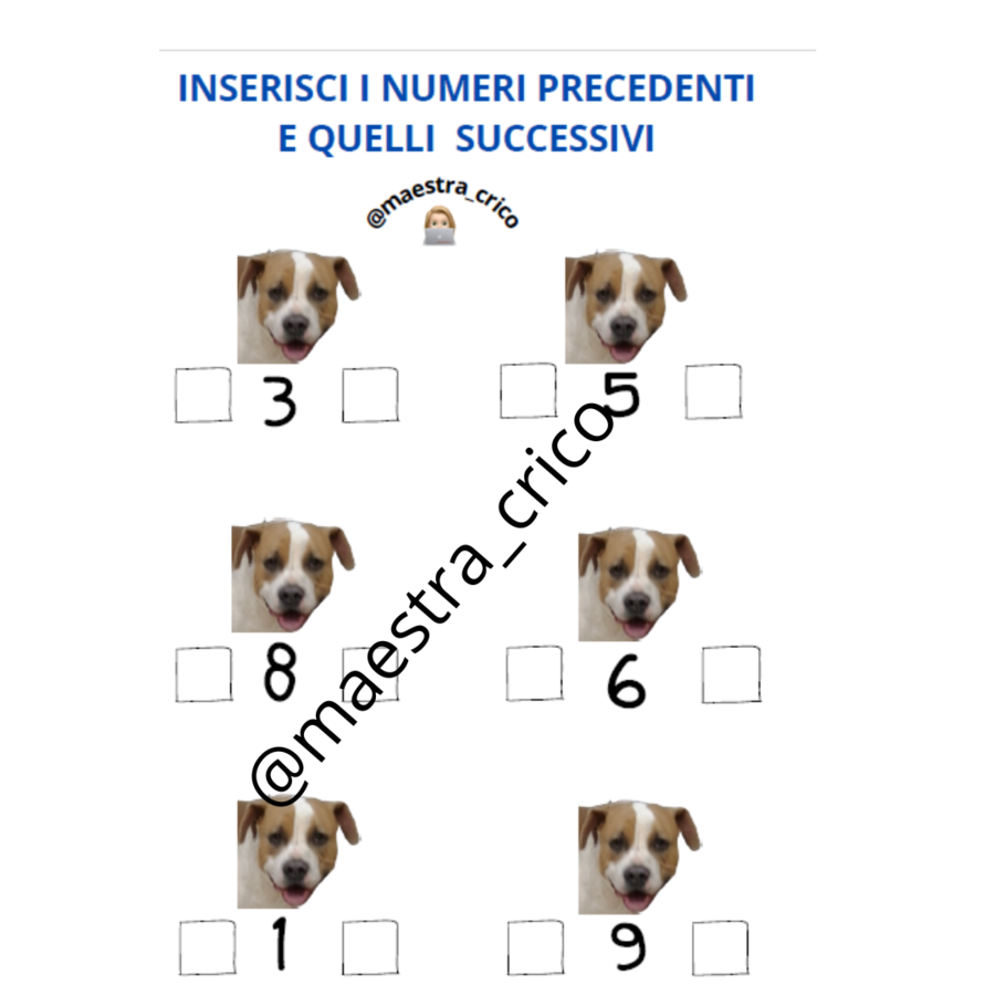 NUMERI PRECEDENTI E NUMERI SUCCESSIVI