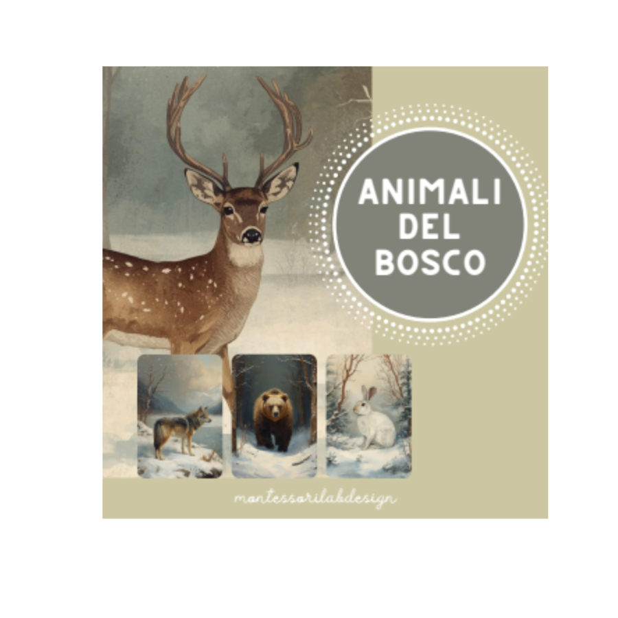 ANIMALI  DEL BOSCO