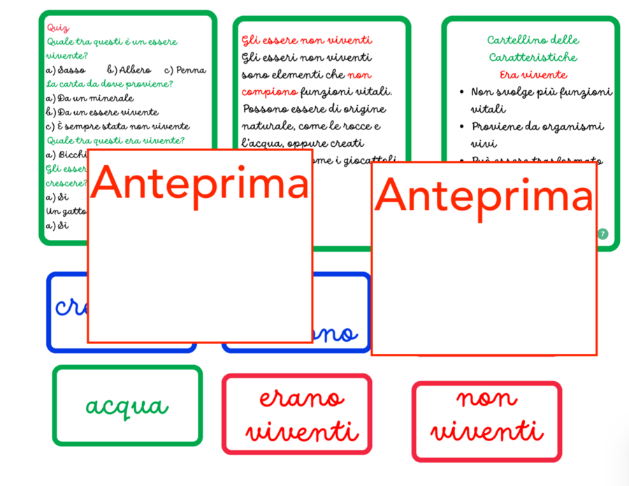 Esseri viventi, non viventi e che erano viventi; un percorso concreto per il riconoscimento e la categorizzazione