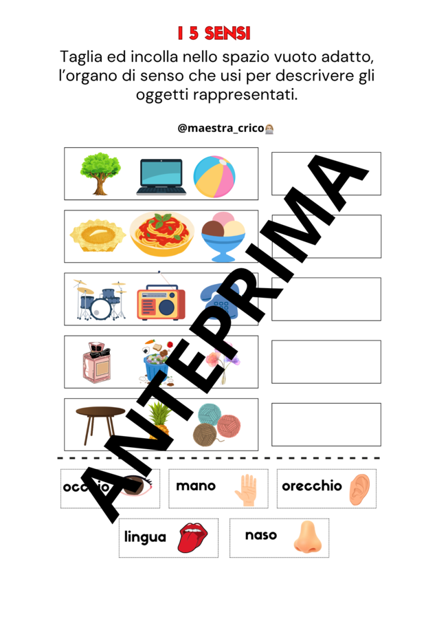 VERIFICA DI SCIENZE CLASSE PRIMA