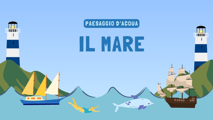 L'ambiente mare - presentazione Canva