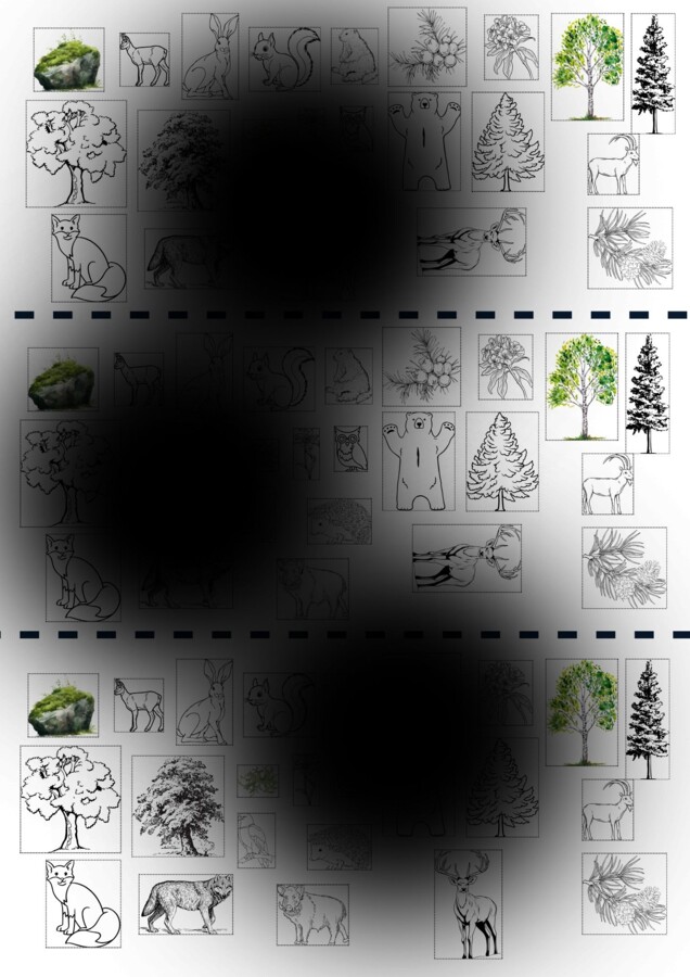 Flora e fauna della montagna - classe seconda Geografia