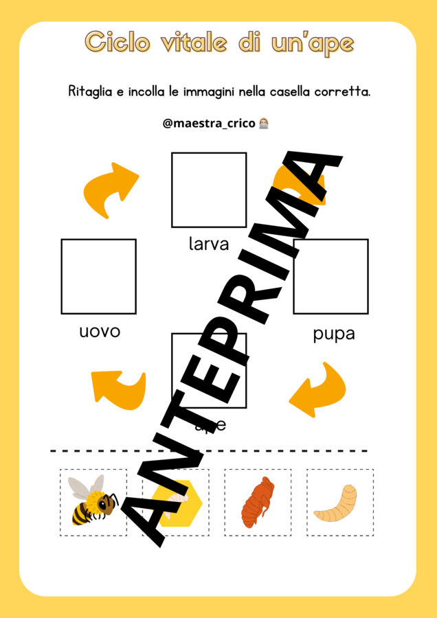 ATTIVITÀ PER CELEBRARE LA GIORNATA MONDIALE DELLE API