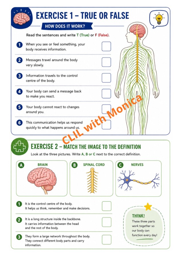 CLIL Science The Human Body classe 5^