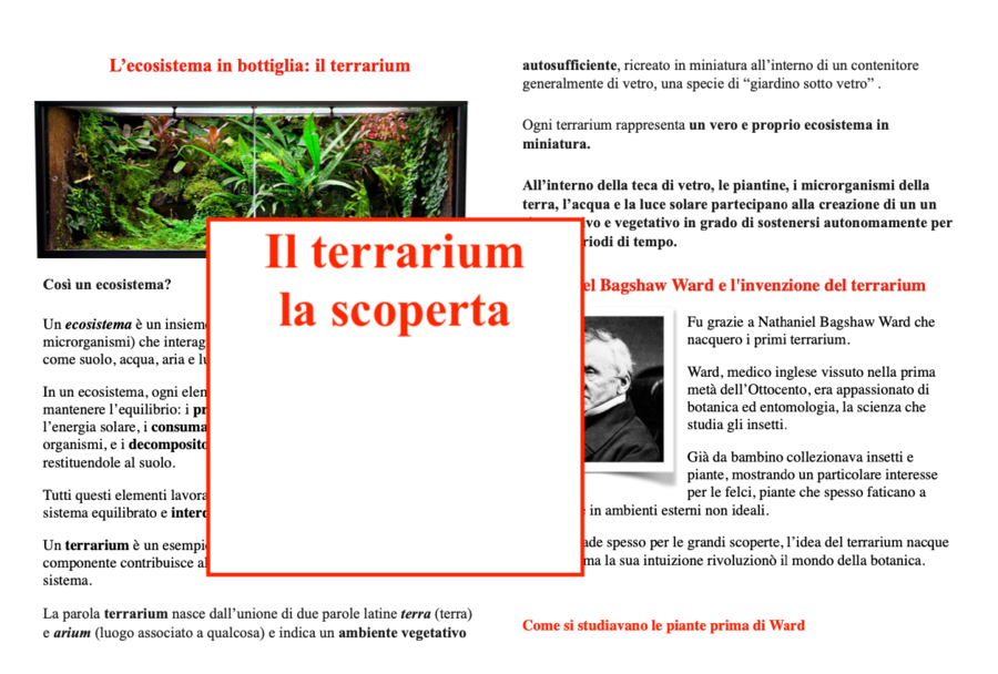 Giornata mondiale del suolo: un ecosistema in bottiglia; dalla storia all'esperimento; classi III-IV-V