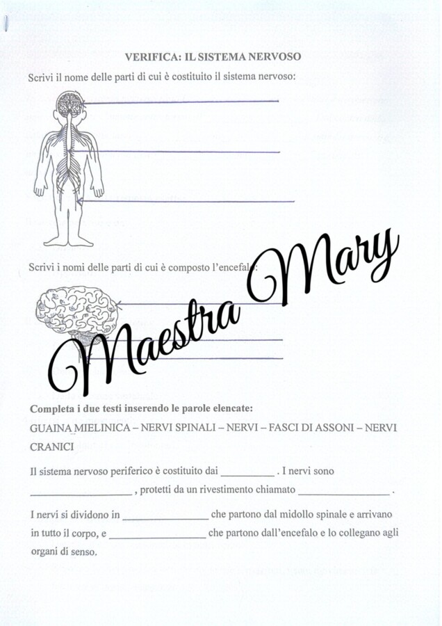 Verifiche scienze classe 5