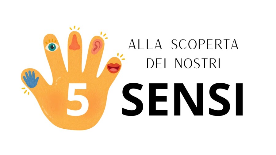 Alla scoperta dei 5 Sensi: percorso didattico-laboratoriale completo (Scienze, classe prima)