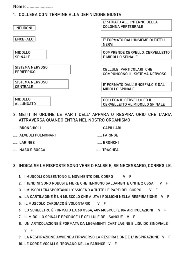 Verifica o esercitazione di scienze
