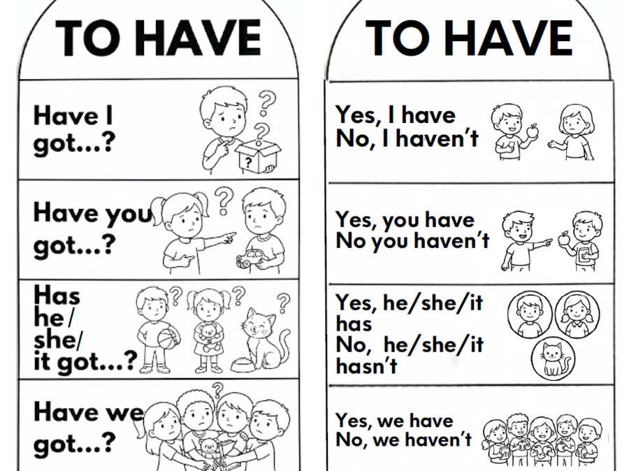 The Verb TO HAVE - Materiale Pop-Up e Lapbook Interattivo | Inglese Scuola Primaria