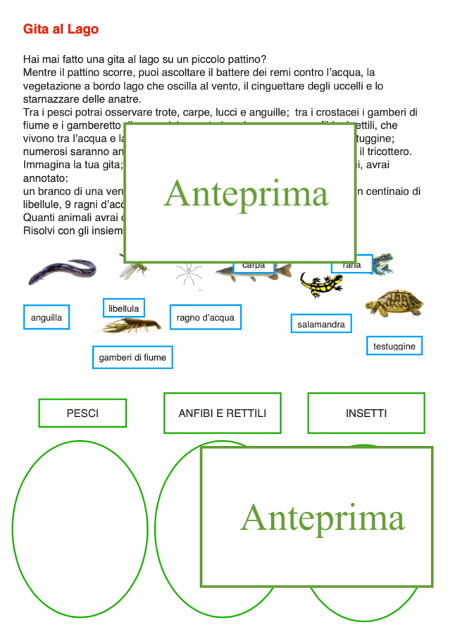 Problemi-non problemi; primo approccio all'insiemistica