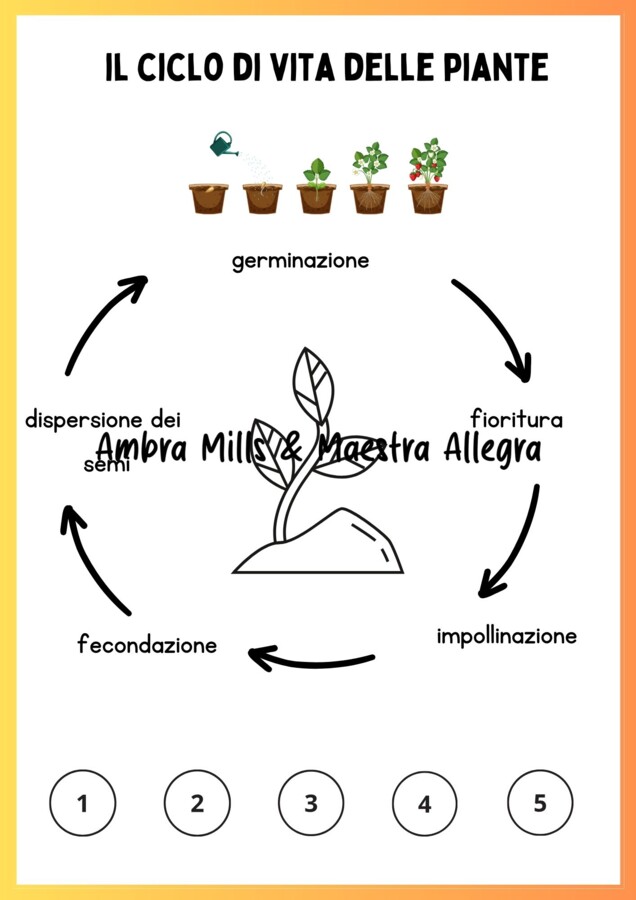 Primavera - Percorso Interdisciplinare classe 2