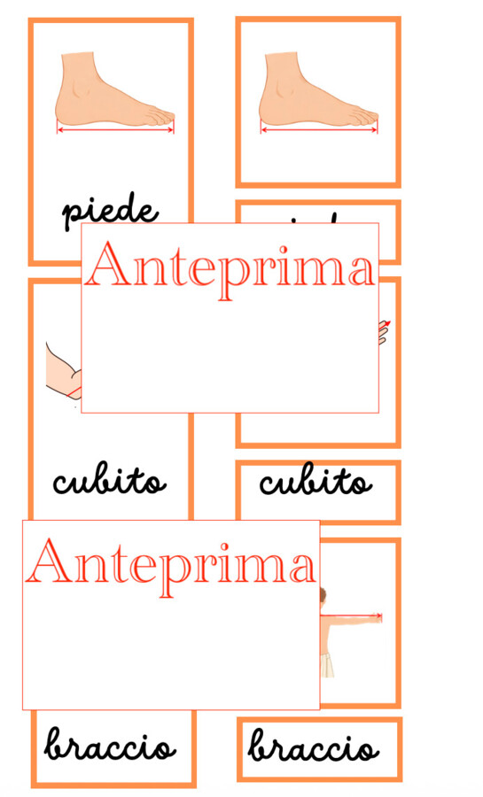 Prima del metro il corpo: un percorso Montessori tra Storia e Matematica alla scoperta delle antiche misure