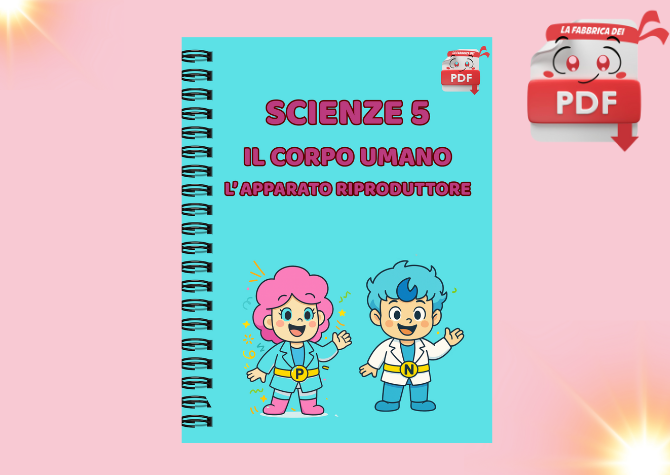 LA FABBRICA DEI PDF - Scienze 5: l'apparato riproduttore