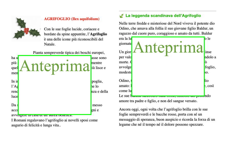 Natale tra piante e fiori-le piante simbolo del Natale- un percorso tra botanica, leggende e attività multidisciplinari