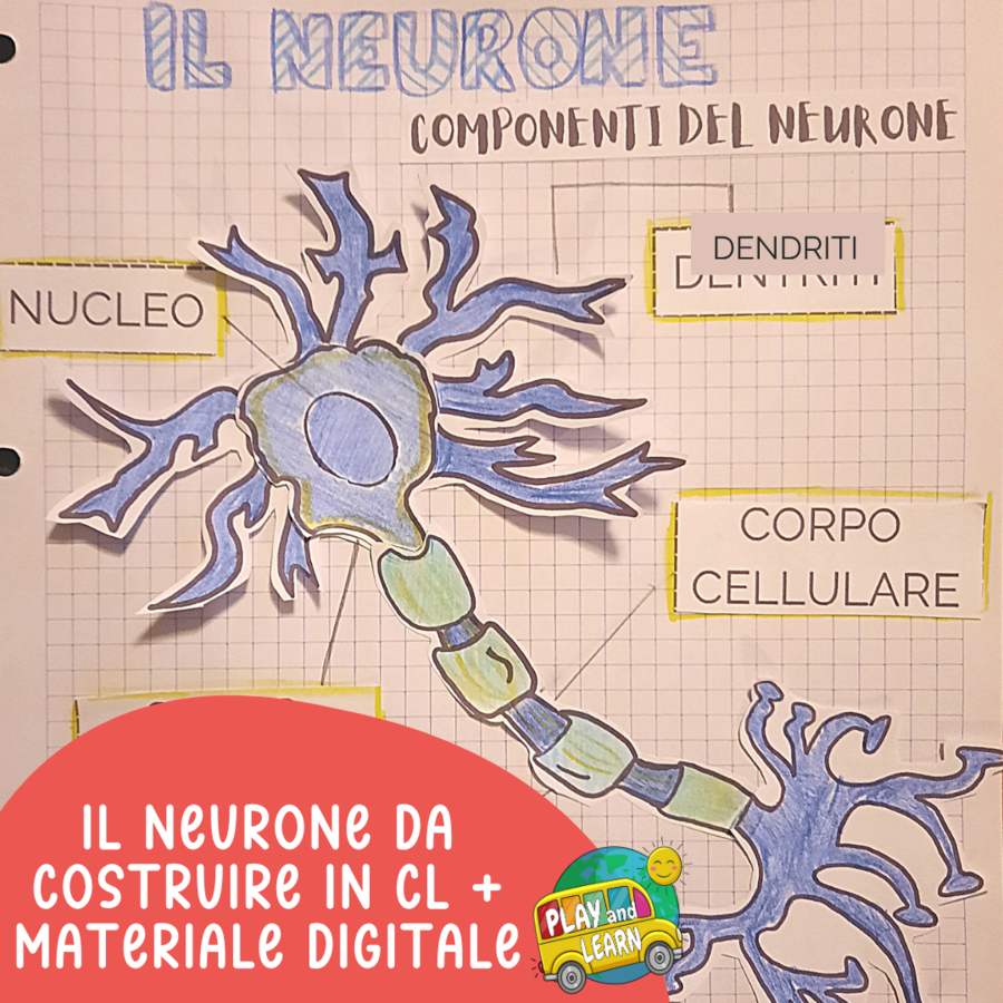 UN NEURONE DA COSTRUIRE IN COOPERATIVE LEARNING
