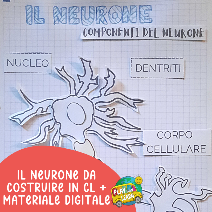 UN NEURONE DA COSTRUIRE IN COOPERATIVE LEARNING