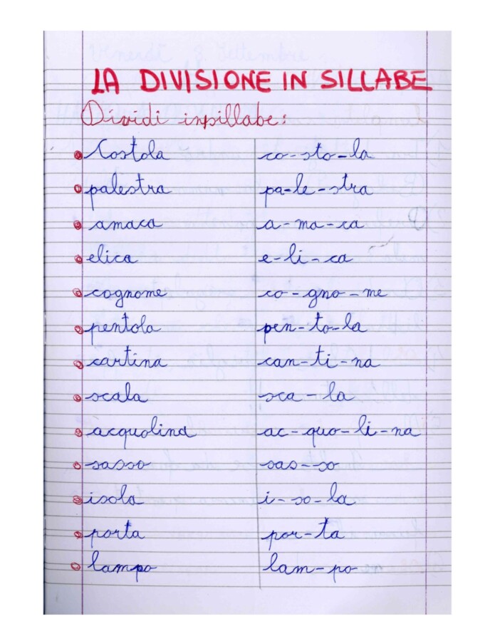 MEGA PACK QUADERNI DI ITALIANO V - 2 in 1 -