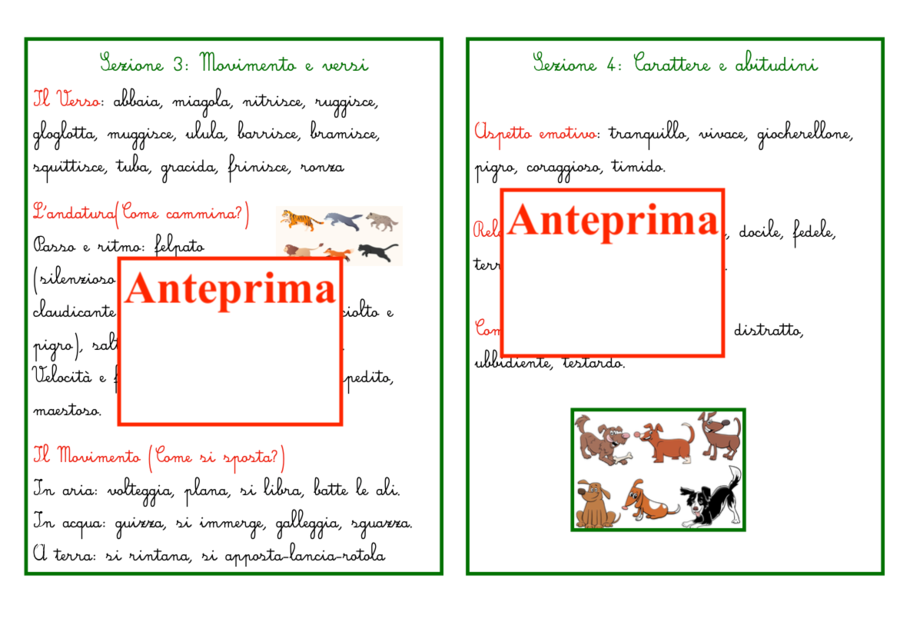 Descrivere un animale – Scrittura descrittiva scuola primaria- Percorso in 7 carte per l’autonomia nella scrittura