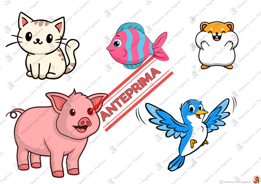 The pets show - animali in inglese (classe prima)