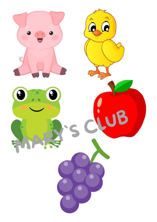 I colori