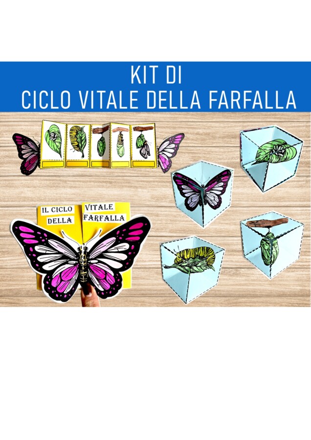kit di ciclo vitale della farfalla