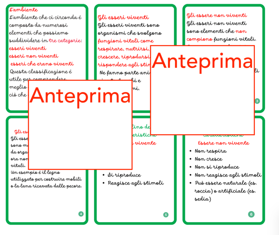Esseri viventi, non viventi e che erano viventi; un percorso concreto per il riconoscimento e la categorizzazione
