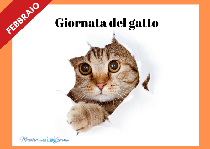 Febbraio: speciale "Giornata del Gatto"