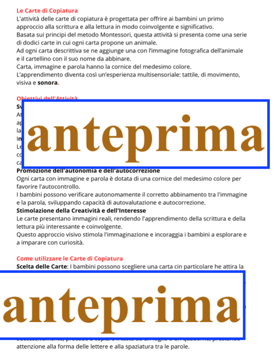 Carte di copiatura/ dettato con autocontrollo