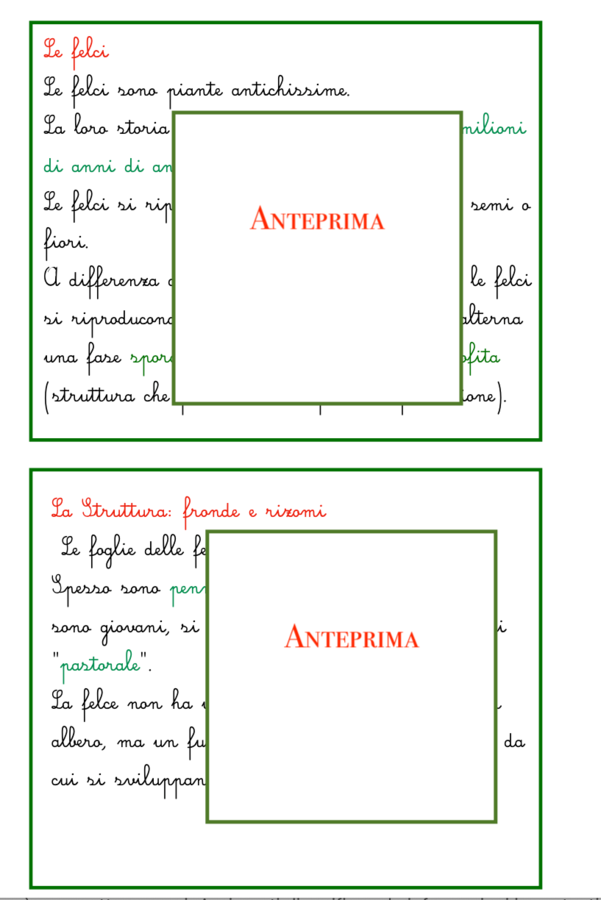 Tempo di spore:le felci-un percorso tra botanica, storia, dinosauri e poesia-per tutte le classi