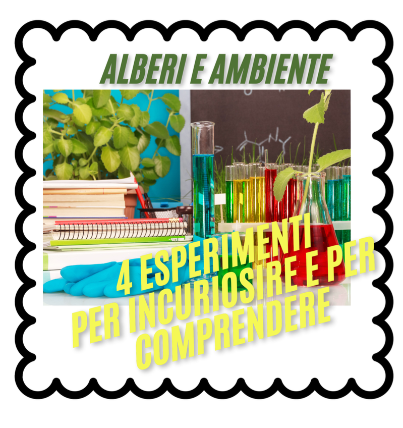 Alberi e ambiente: 4 esperimenti per incuriosire e comprendere-Giornata degli alberi-per tutte le classi