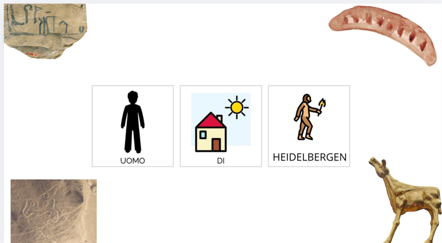 HOMO HEIDELBERGENS IN CAA (CLASSE 3 PRIMARIA) CON QUIZ E DISEGNI