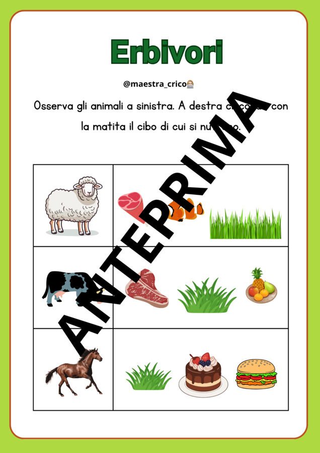 PERCORSO SUGLI ANIMALI