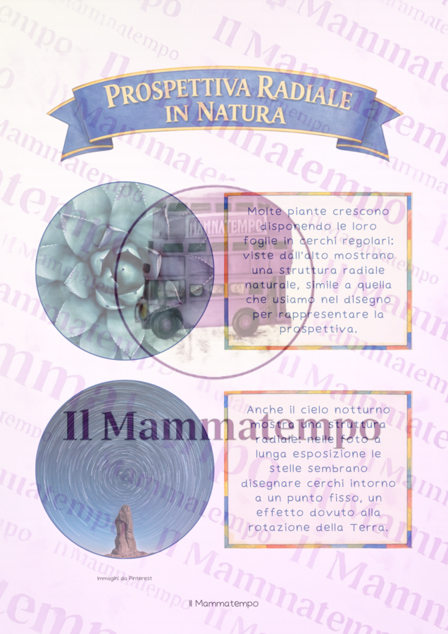 Prospettiva radiale