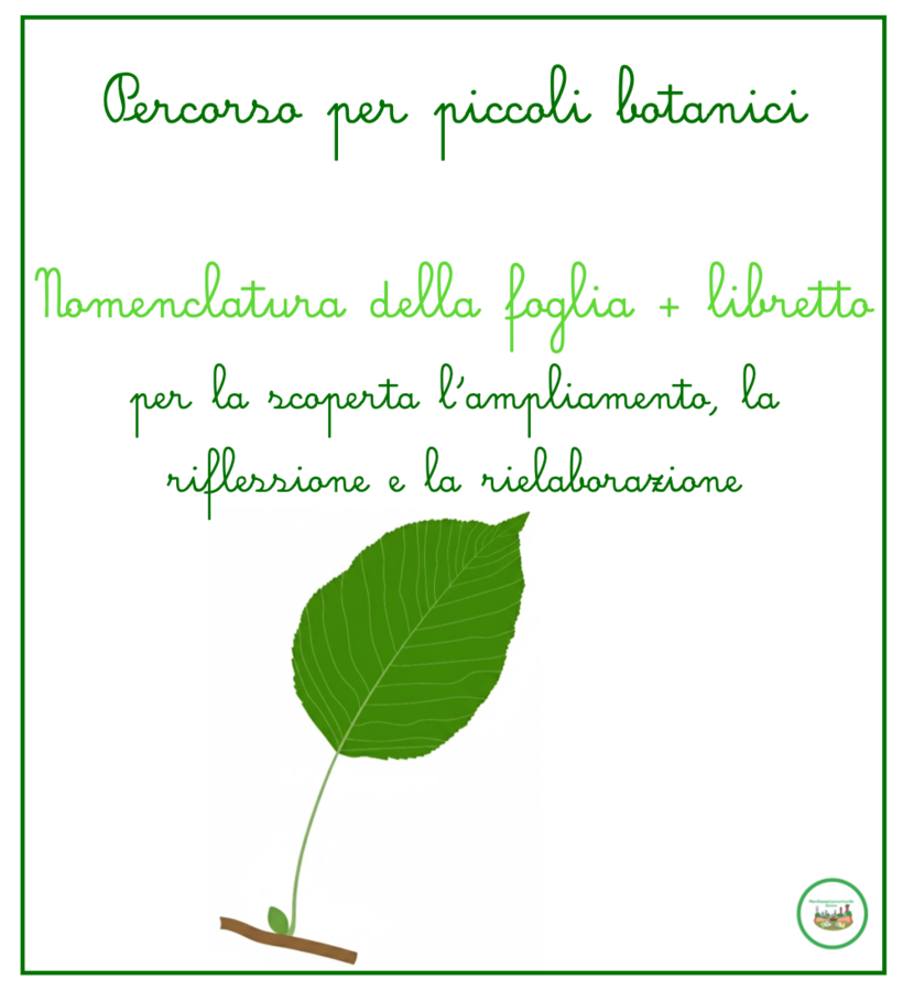 Percorso per piccoli botanici; nomenclatura della foglia + libretto per l'ampliamento