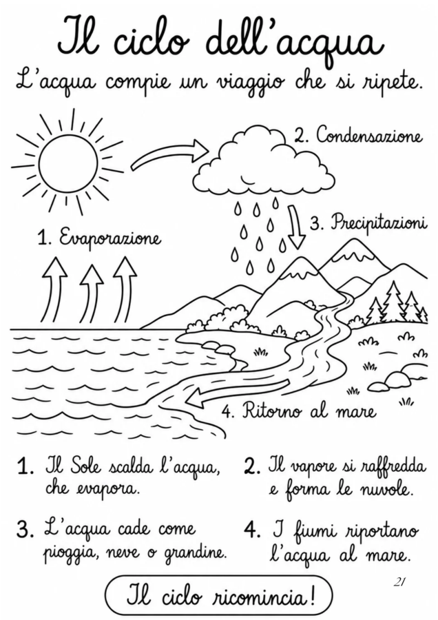 Quaderno completo di scienze classe terza