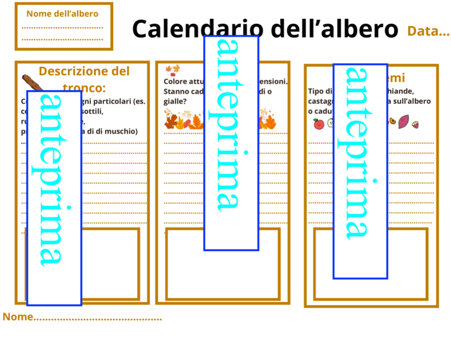 Il calendario degli alberi