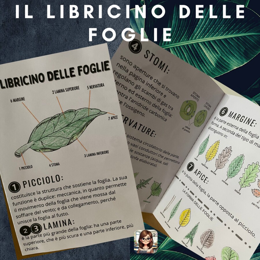Il libricino delle foglie