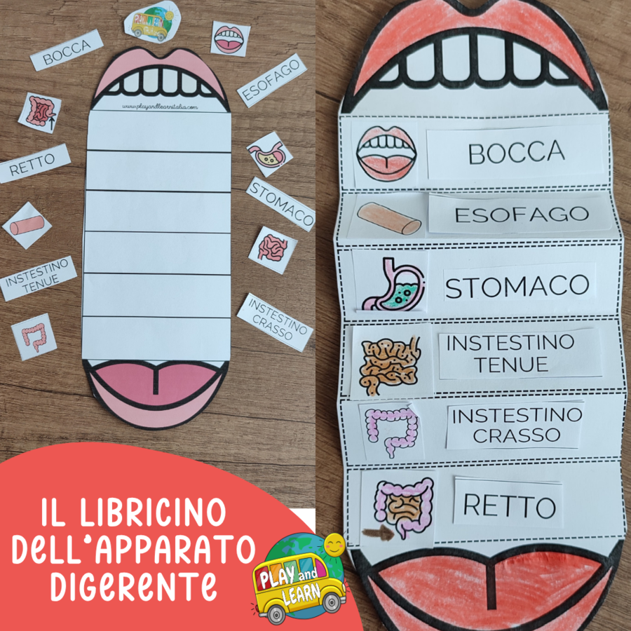 PACCHETTO CORPO UMANO